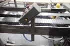Babbco Direct Fired Tunnel Oven